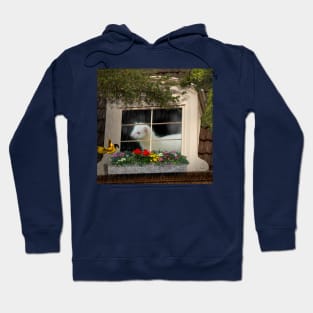 Spring Rain Shower Ferret art with bird and flowers Hoodie